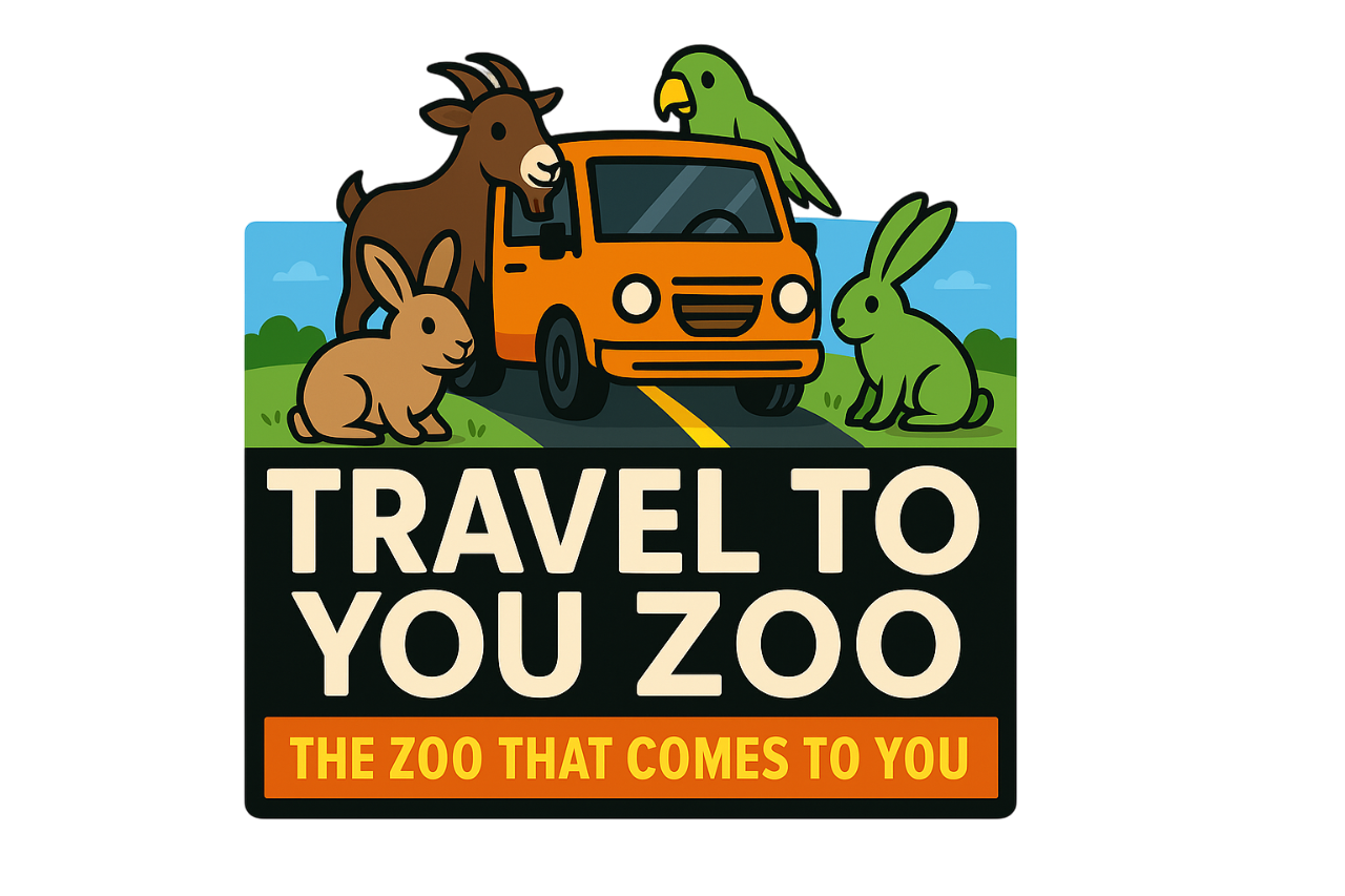 Travel To You Zoo